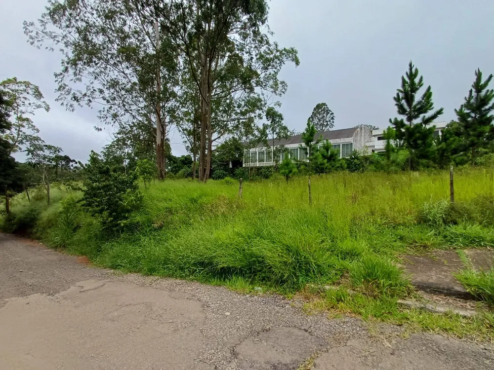Terreno, 4500 m² - Foto 3