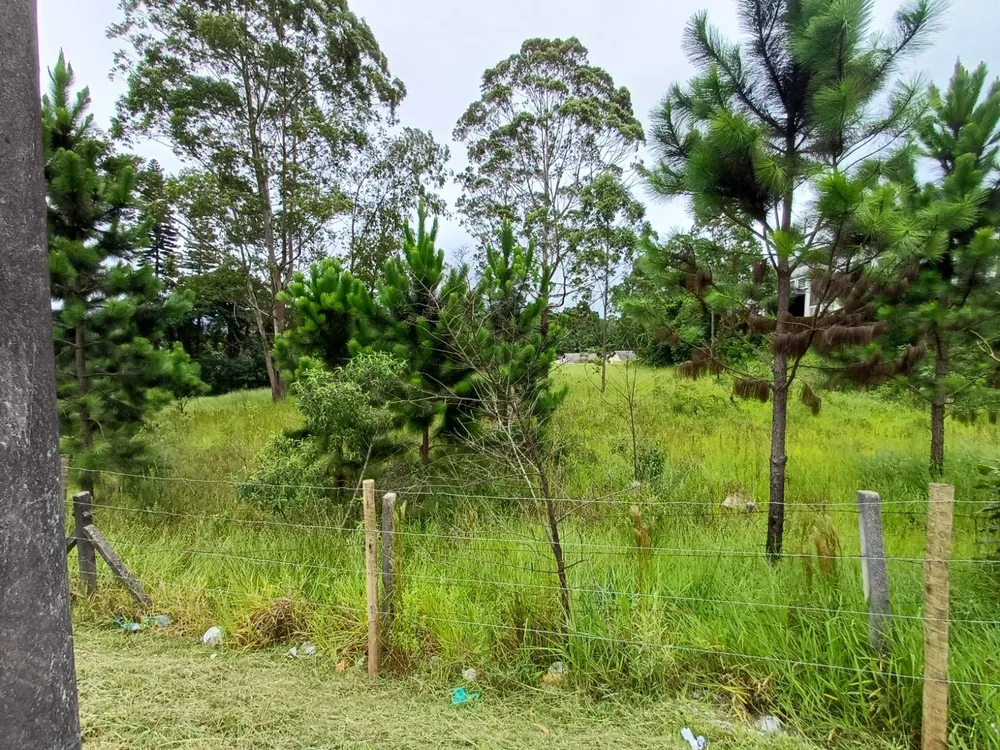 Terreno, 4500 m² - Foto 2
