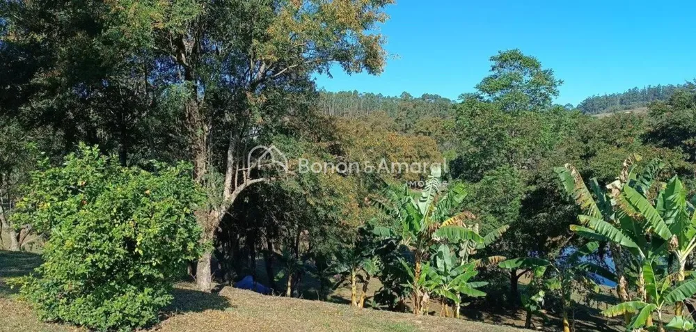 Terreno, 2 hectares - Foto 4