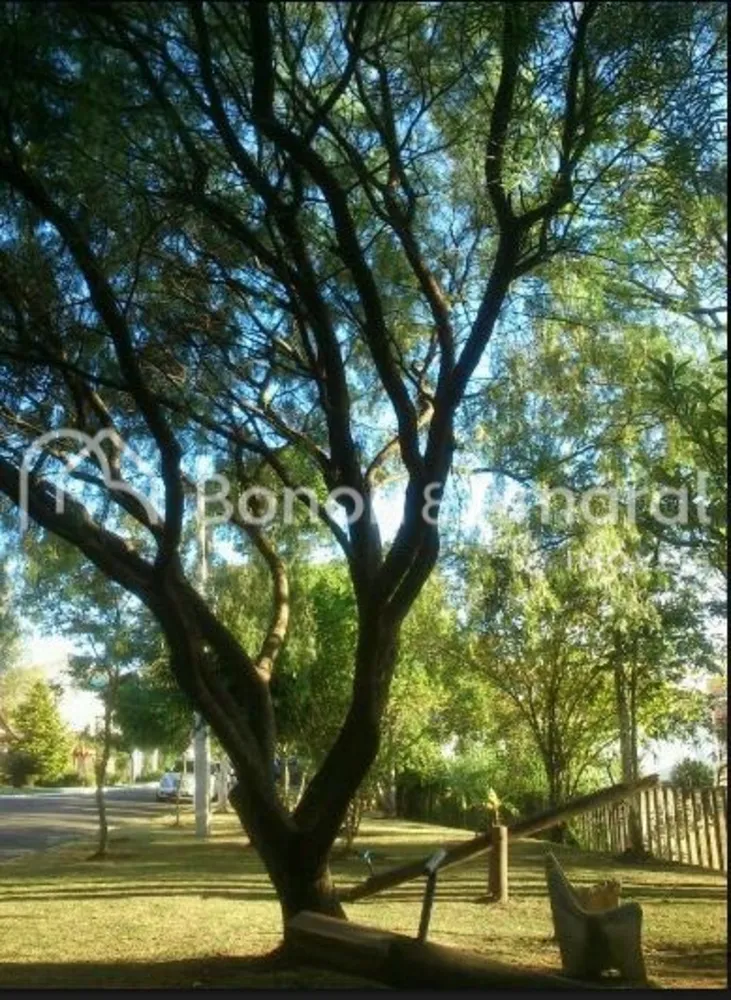 Terreno, 700 m² - Foto 4