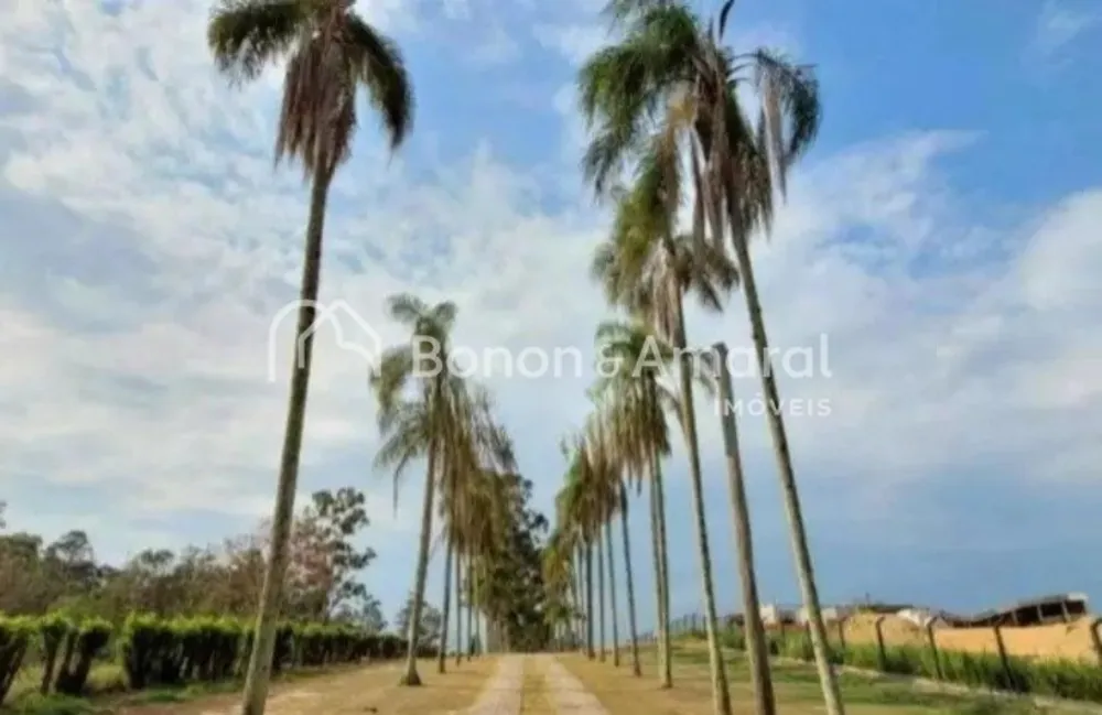 Terreno, 2 hectares - Foto 12