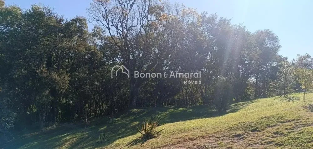 Terreno, 2 hectares - Foto 6