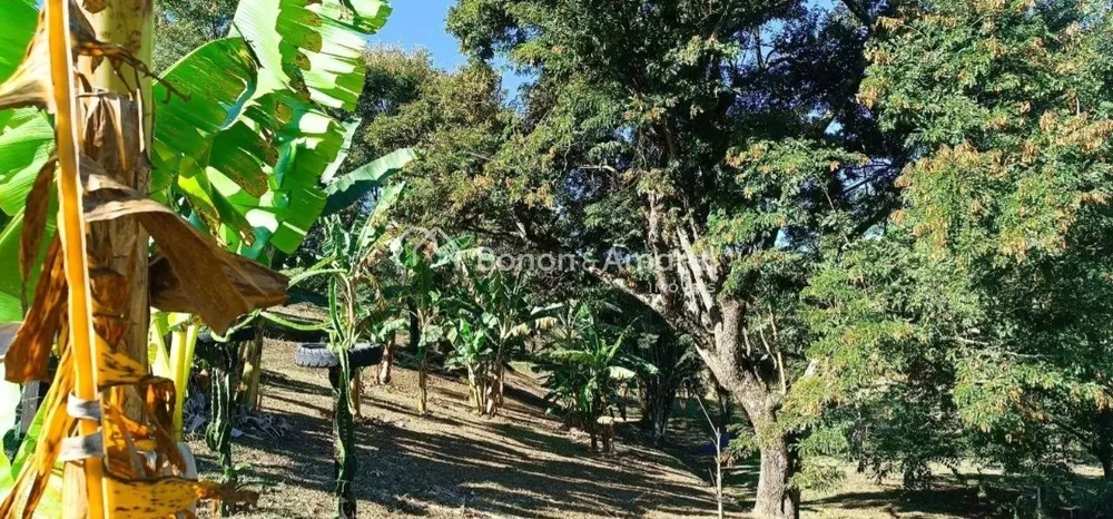 Terreno, 2 hectares - Foto 9