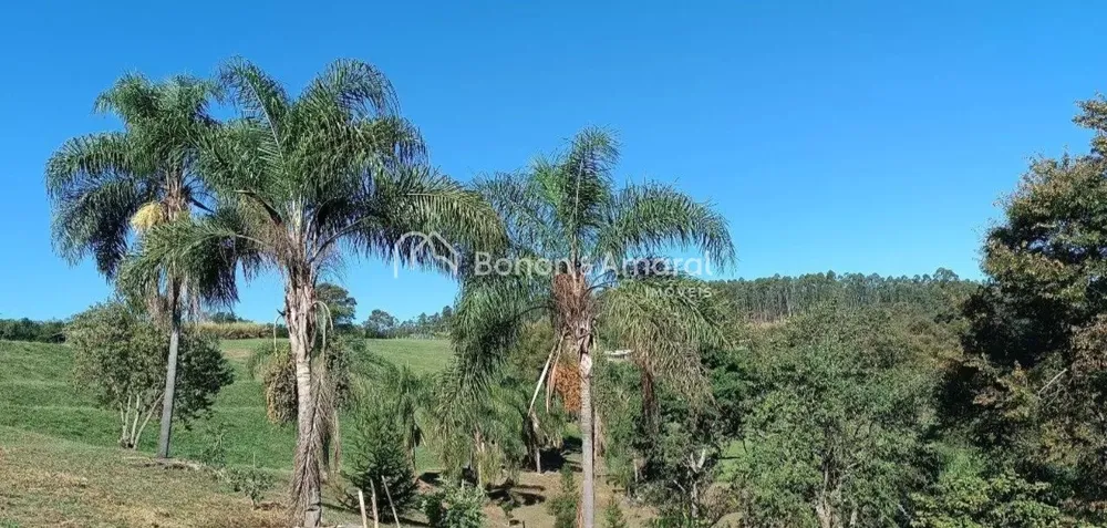 Terreno, 2 hectares - Foto 3