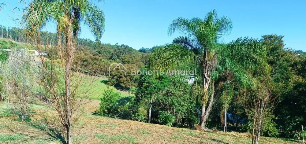 Terreno, 2 hectares - Foto 4