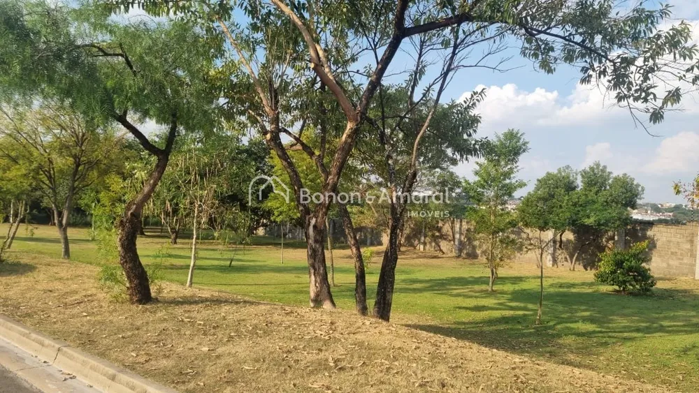 Terreno, 250 m² - Foto 3
