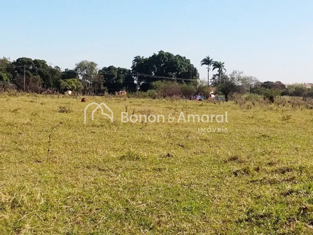 Terreno, 2 hectares - Foto 6