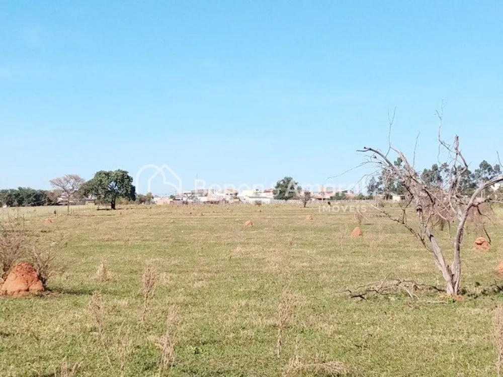 Terreno, 2 hectares - Foto 4