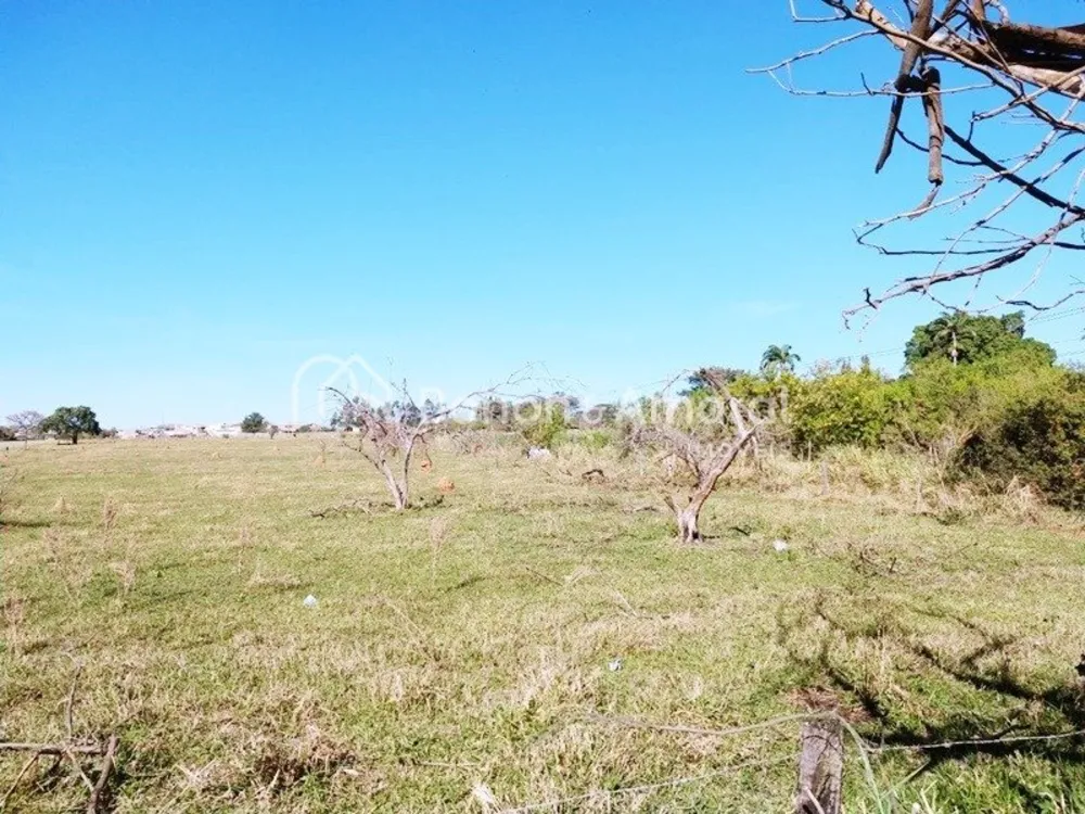 Terreno, 2 hectares - Foto 10