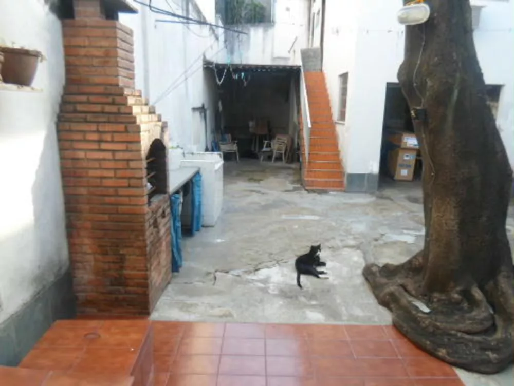 Casa, 5 quartos, 290 m² - Foto 27