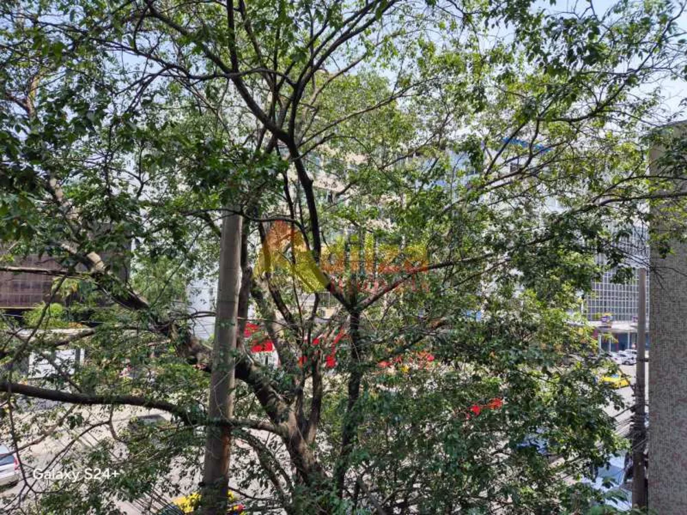 Apartamento, 3 quartos, 110 m² - Foto 8