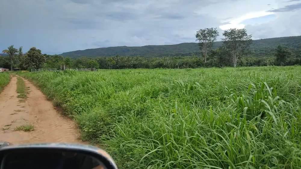 Fazenda - Foto 2