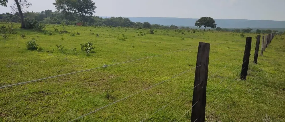 Fazenda - Foto 5
