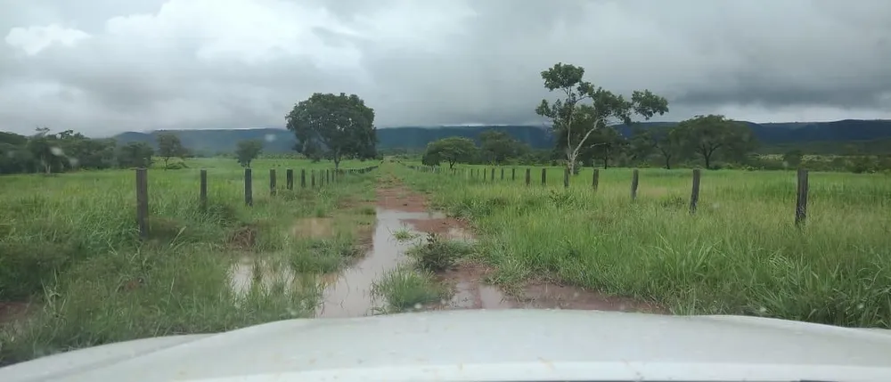 Fazenda - Foto 6