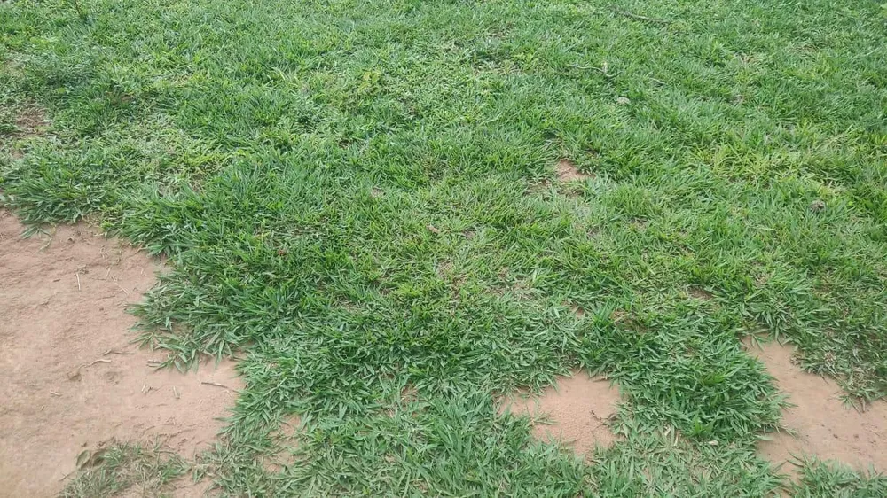 Fazenda - Foto 7