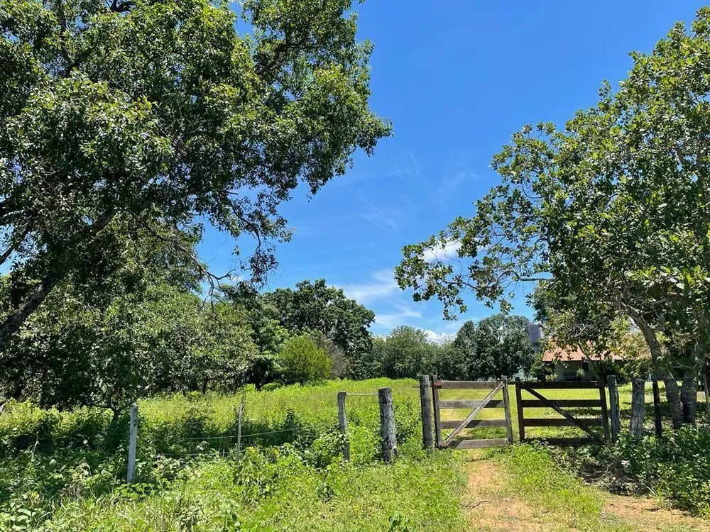 Fazenda, 2 quartos - Foto 2