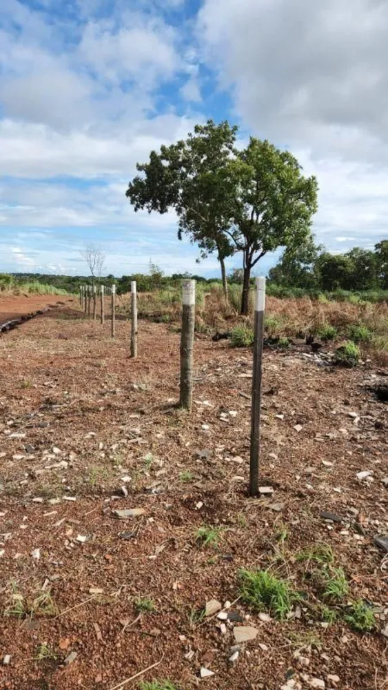Terreno - Foto 4