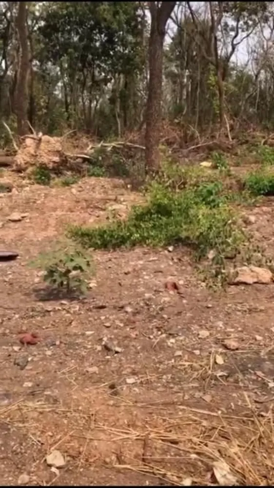 Terreno - Foto 1