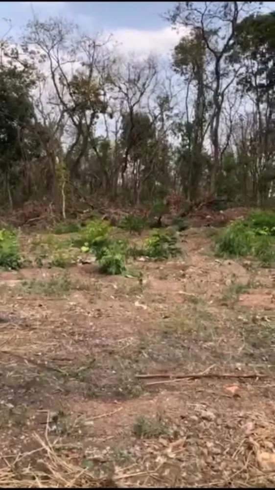Terreno - Foto 4