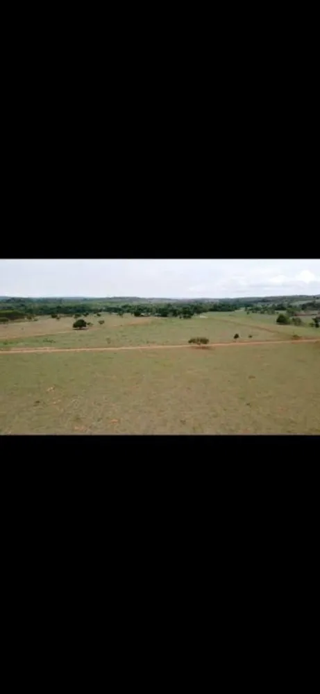 Fazenda - Foto 4