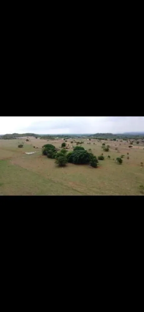 Fazenda - Foto 5
