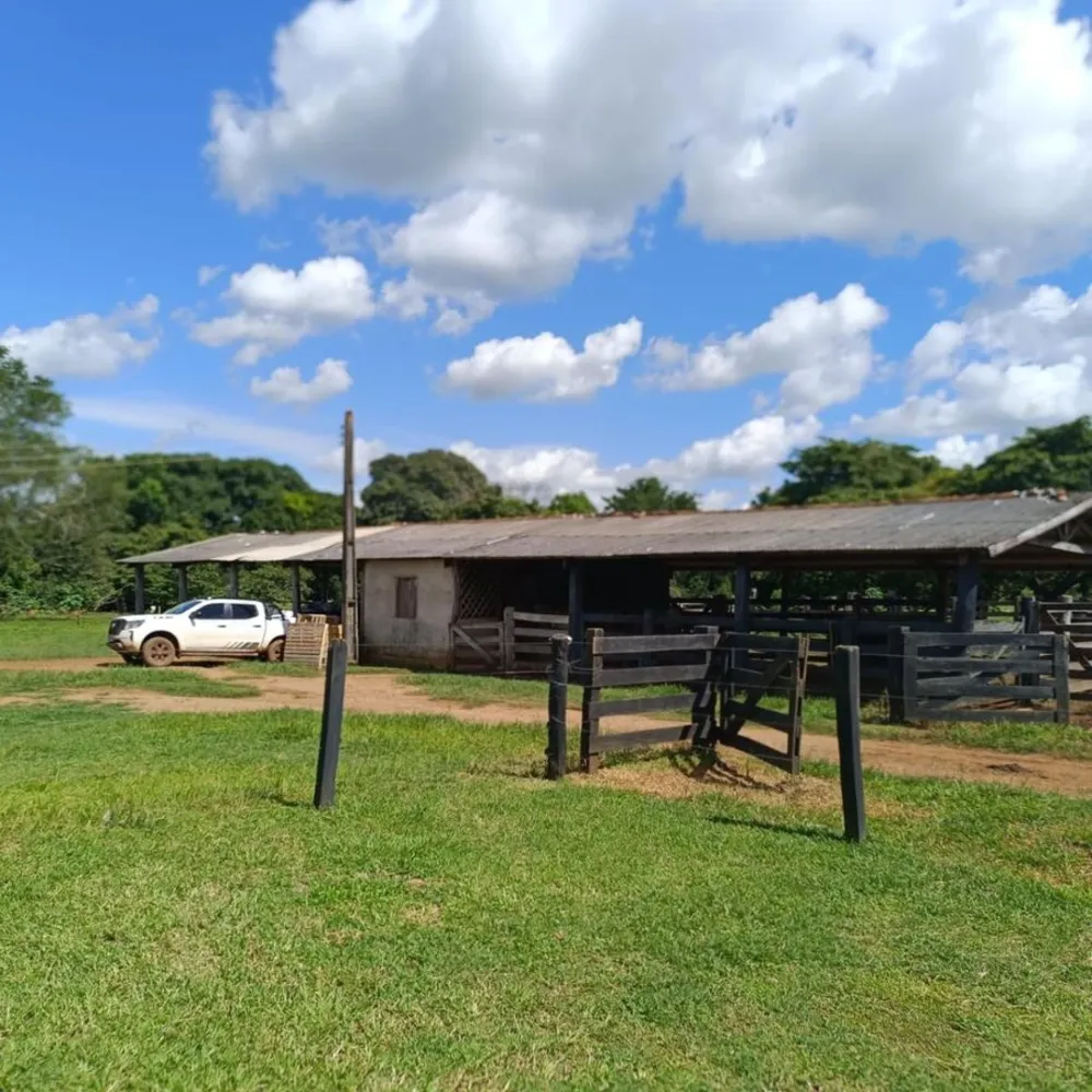 Fazenda - Foto 1