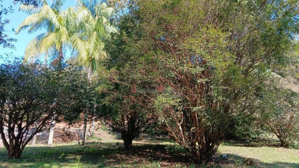 Chácara, 3 quartos, 2 hectares - Foto 8