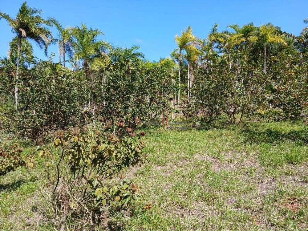 Chácara, 3 quartos, 2 hectares - Foto 9