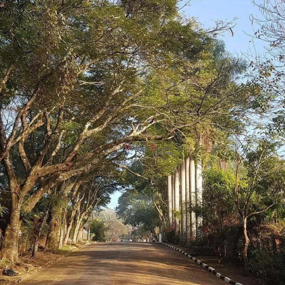 Chácara, 3 quartos, 1000 m² - Foto 13