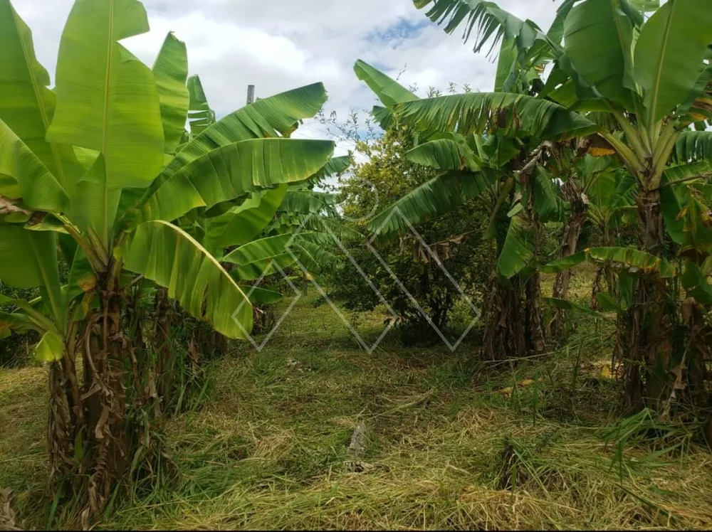 Chácara, 3 quartos, 2 hectares - Foto 3