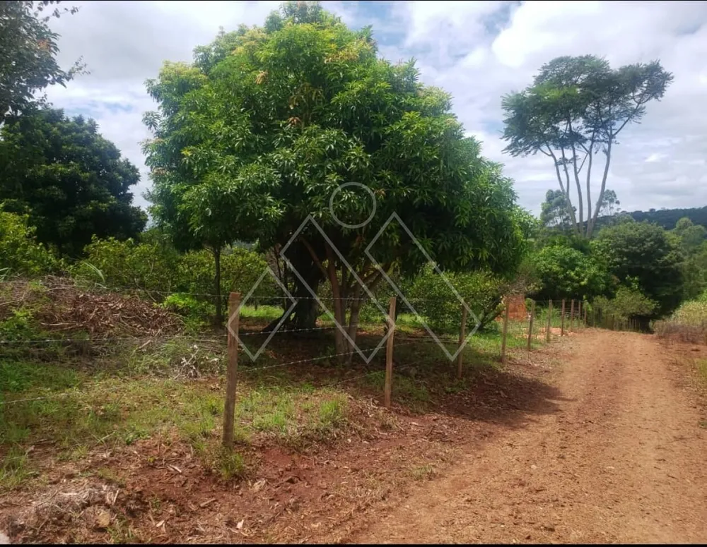 Chácara, 3 quartos, 2 hectares - Foto 2