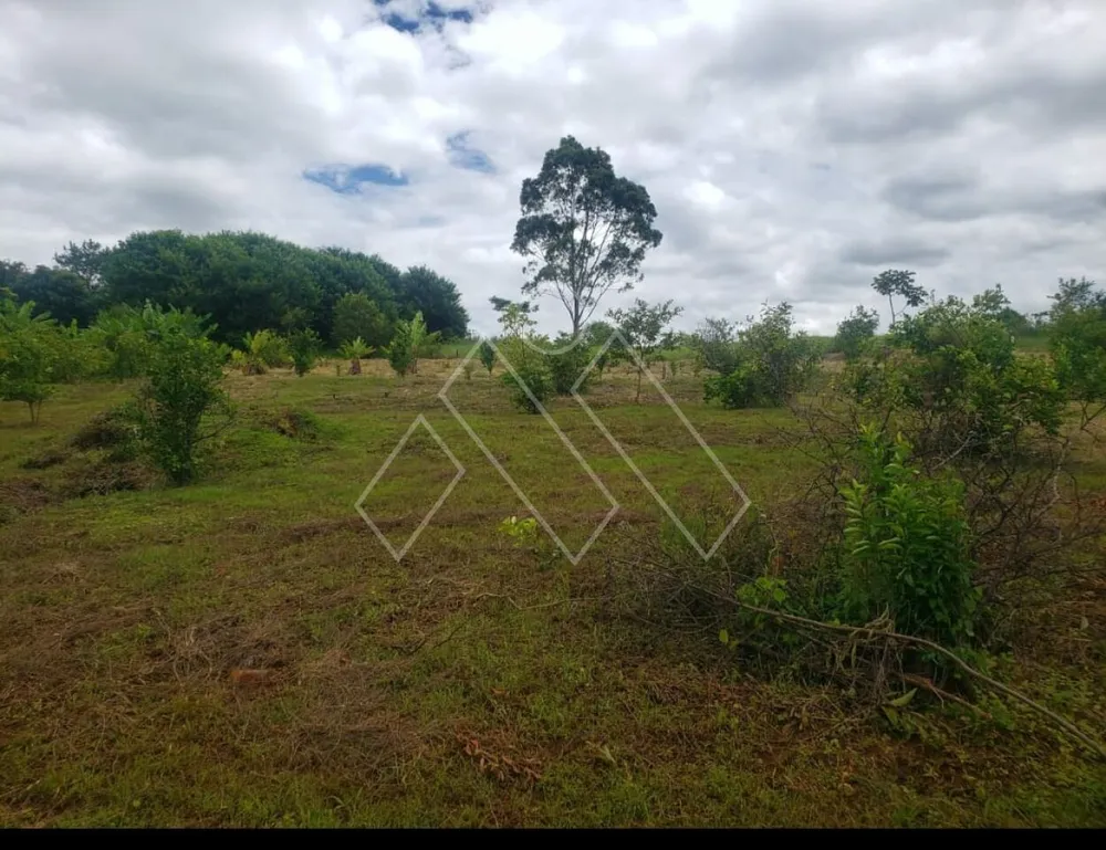 Chácara, 3 quartos, 2 hectares - Foto 4