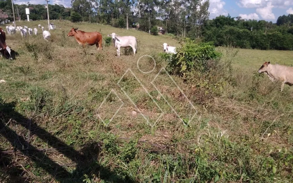 Sítio, 6 quartos, 22 hectares - Foto 7