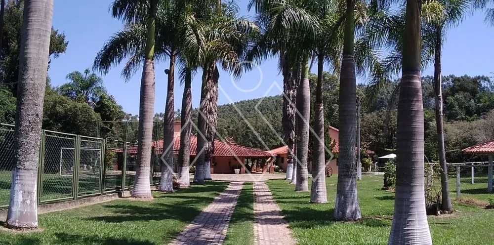 Sítio, 6 quartos, 22 hectares - Foto 10