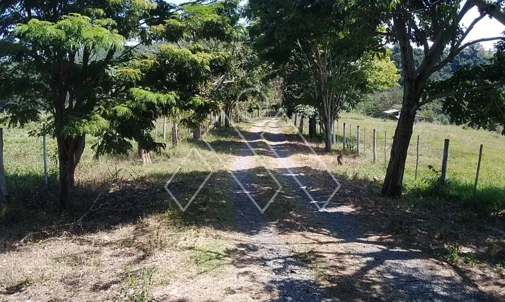 Sítio, 6 quartos, 22 hectares - Foto 2
