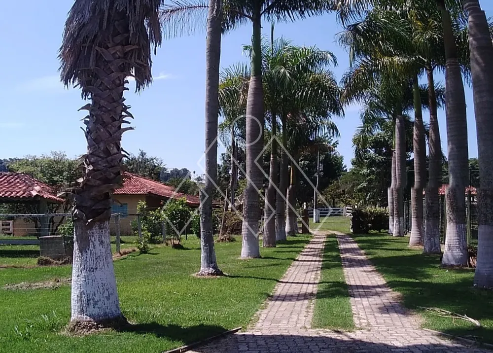Sítio, 6 quartos, 22 hectares - Foto 3