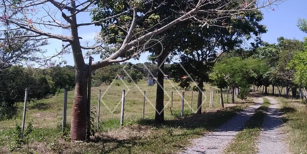 Sítio, 6 quartos, 22 hectares - Foto 11