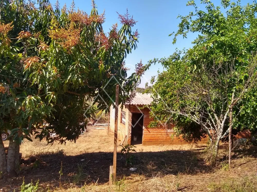 Chácara, 3 quartos, 5000 m² - Foto 4