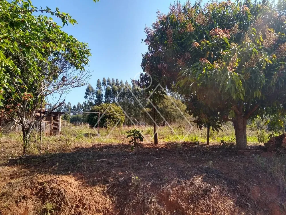 Chácara, 3 quartos, 5000 m² - Foto 2