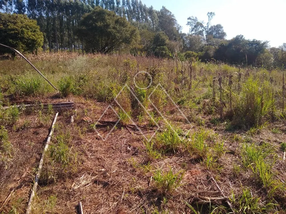 Chácara, 3 quartos, 5000 m² - Foto 1