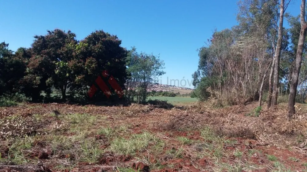 Sítio, 4 hectares - Foto 6