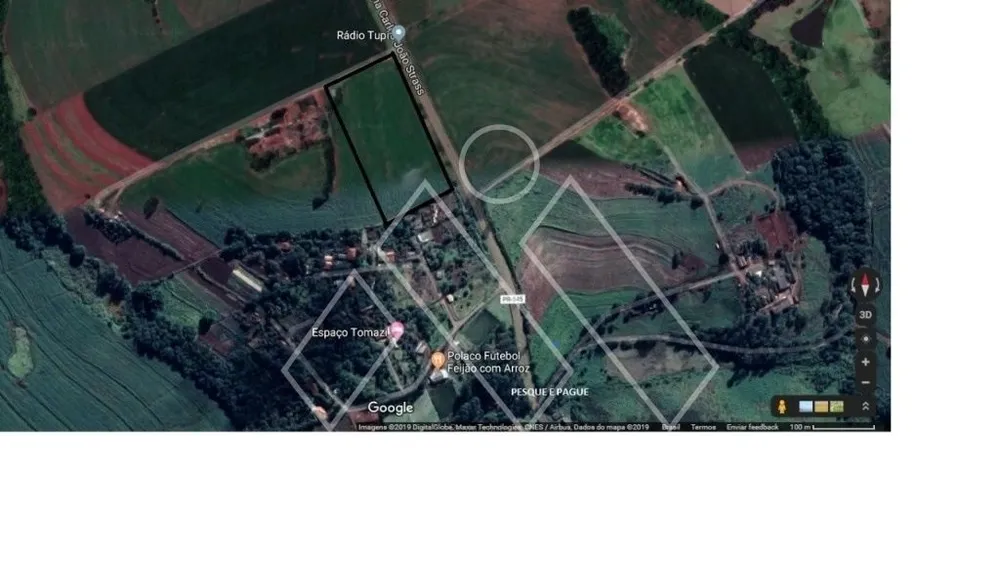 Sítio, 4 hectares - Foto 8