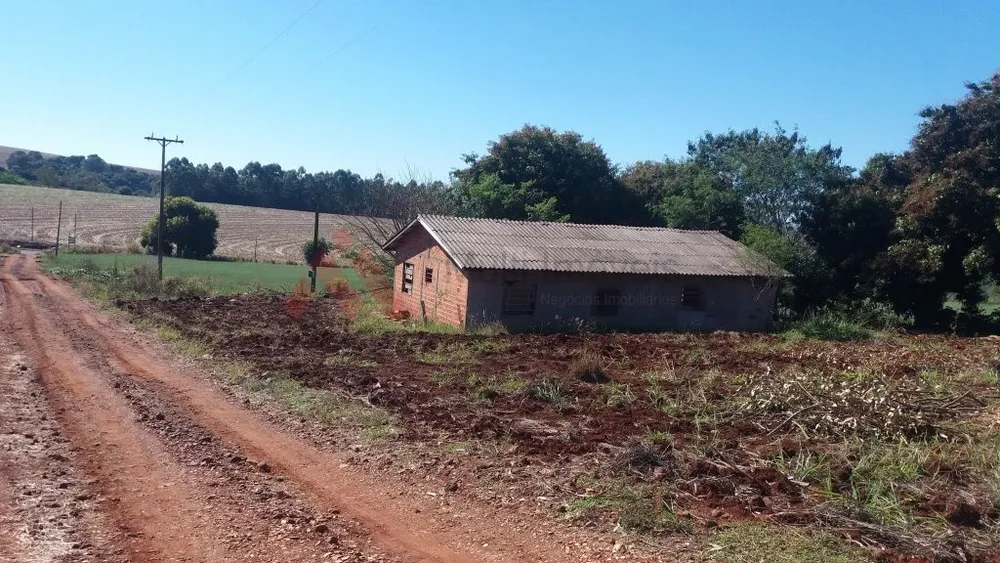 Sítio, 4 hectares - Foto 7