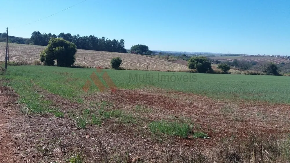 Sítio, 4 hectares - Foto 4