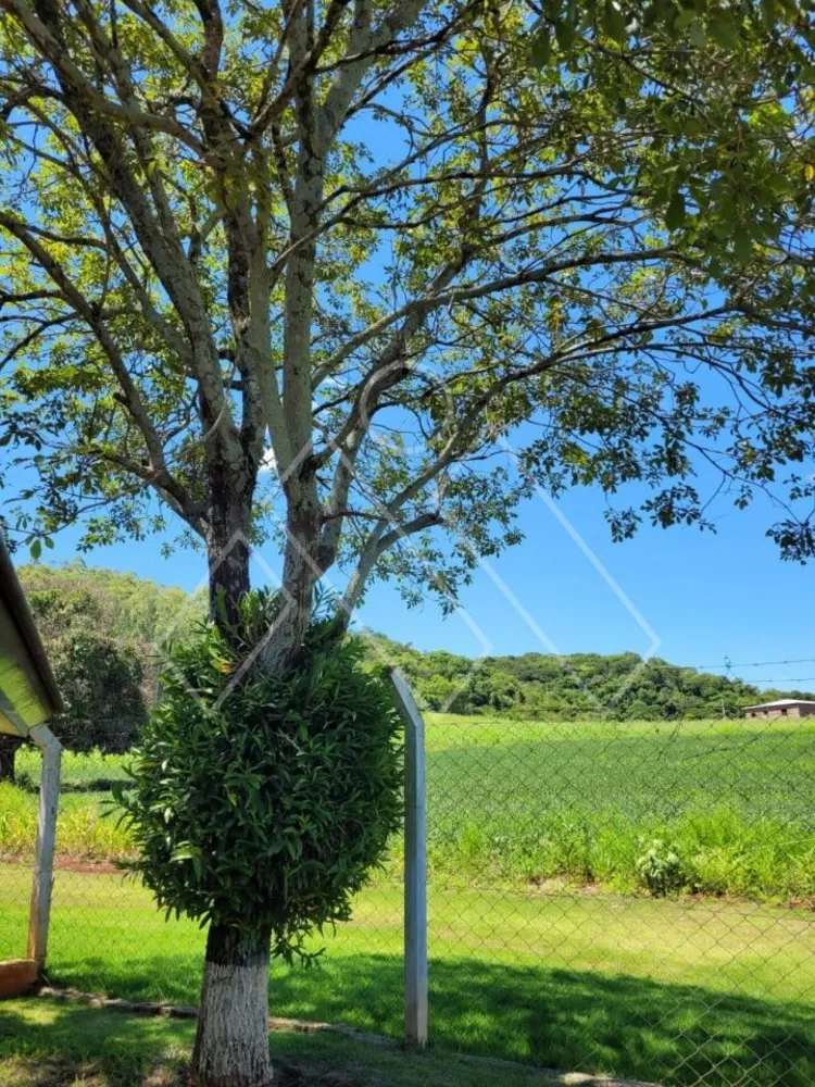 Chácara, 3 quartos, 5 hectares - Foto 10