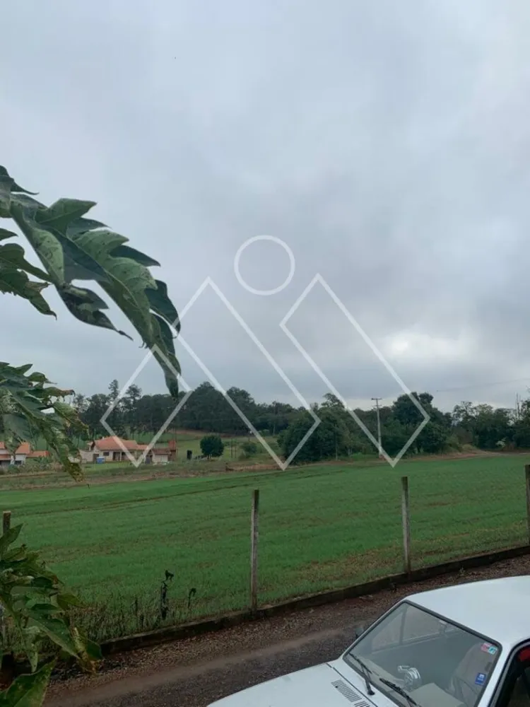 Chácara, 4 quartos, 4 hectares - Foto 1