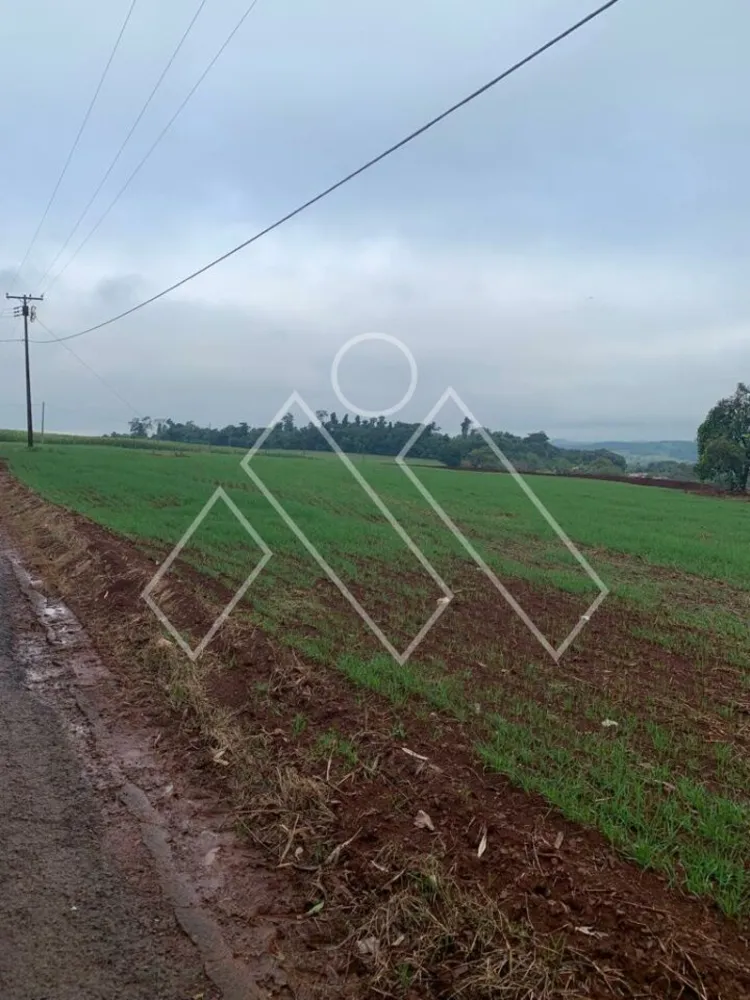 Chácara, 4 quartos, 4 hectares - Foto 8