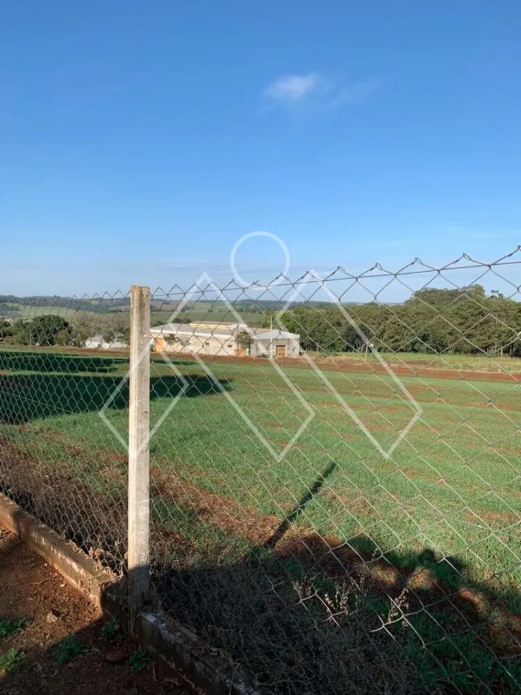 Chácara, 4 quartos, 4 hectares - Foto 7