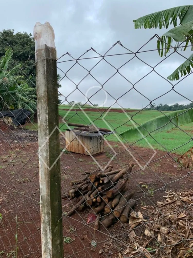 Chácara, 4 quartos, 4 hectares - Foto 8