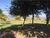 Terreno, 1500 m² - Foto 2